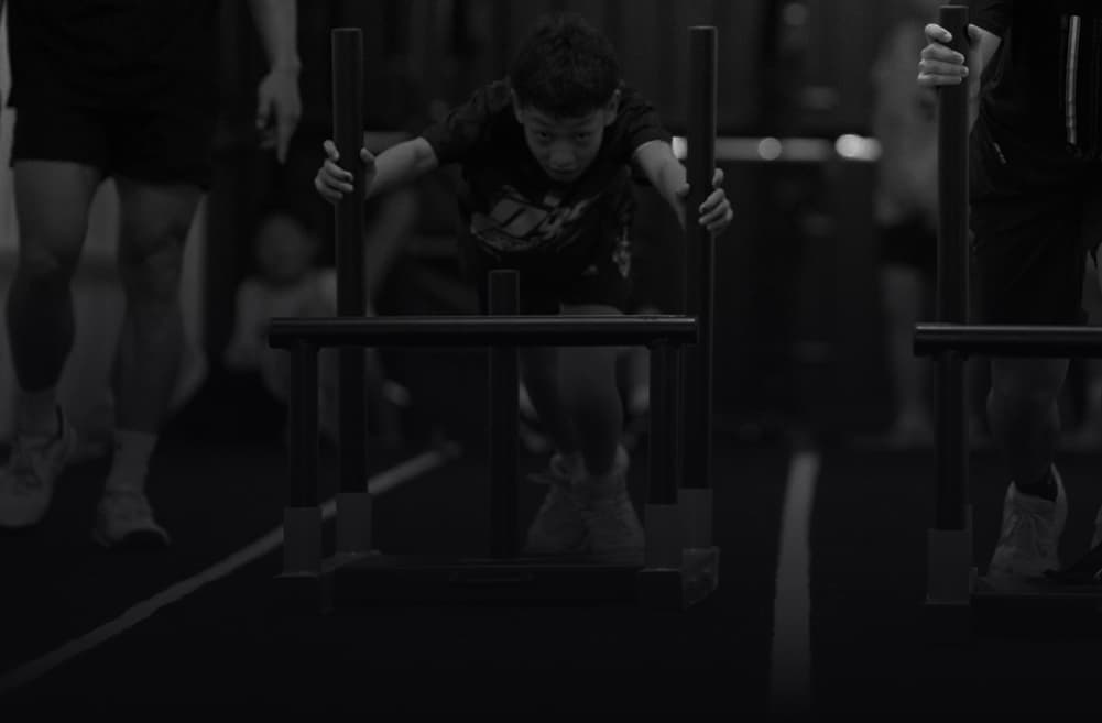 Basketball training